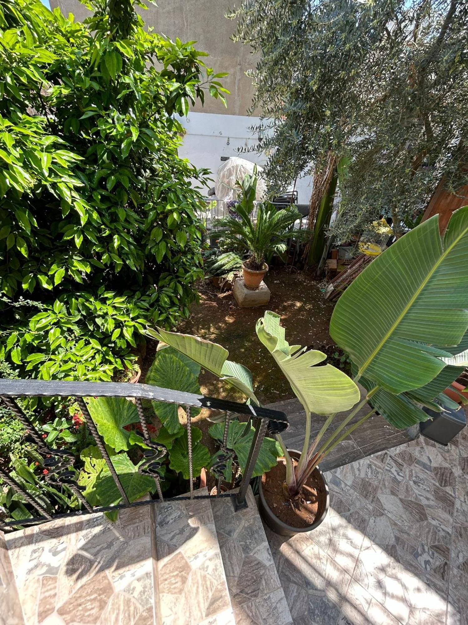 Magic Moon Guest House فاماغوستا المظهر الخارجي الصورة