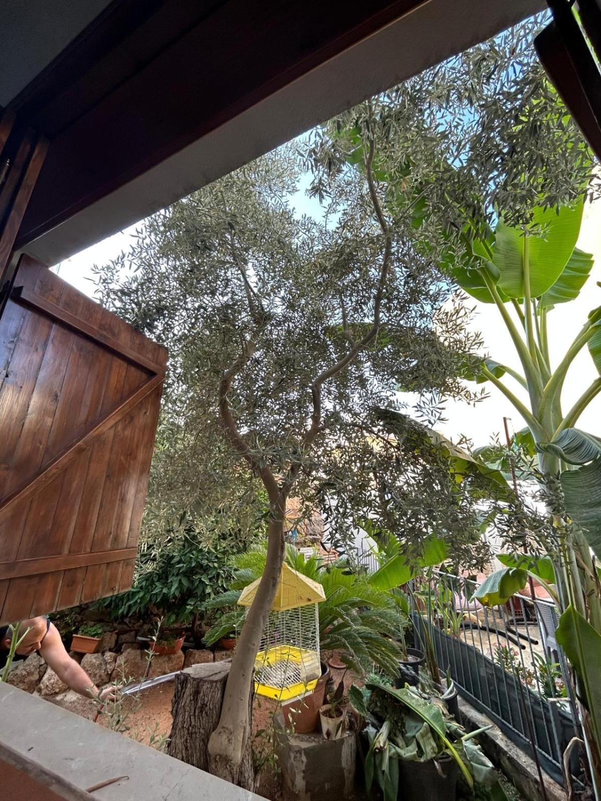 Magic Moon Guest House فاماغوستا المظهر الخارجي الصورة