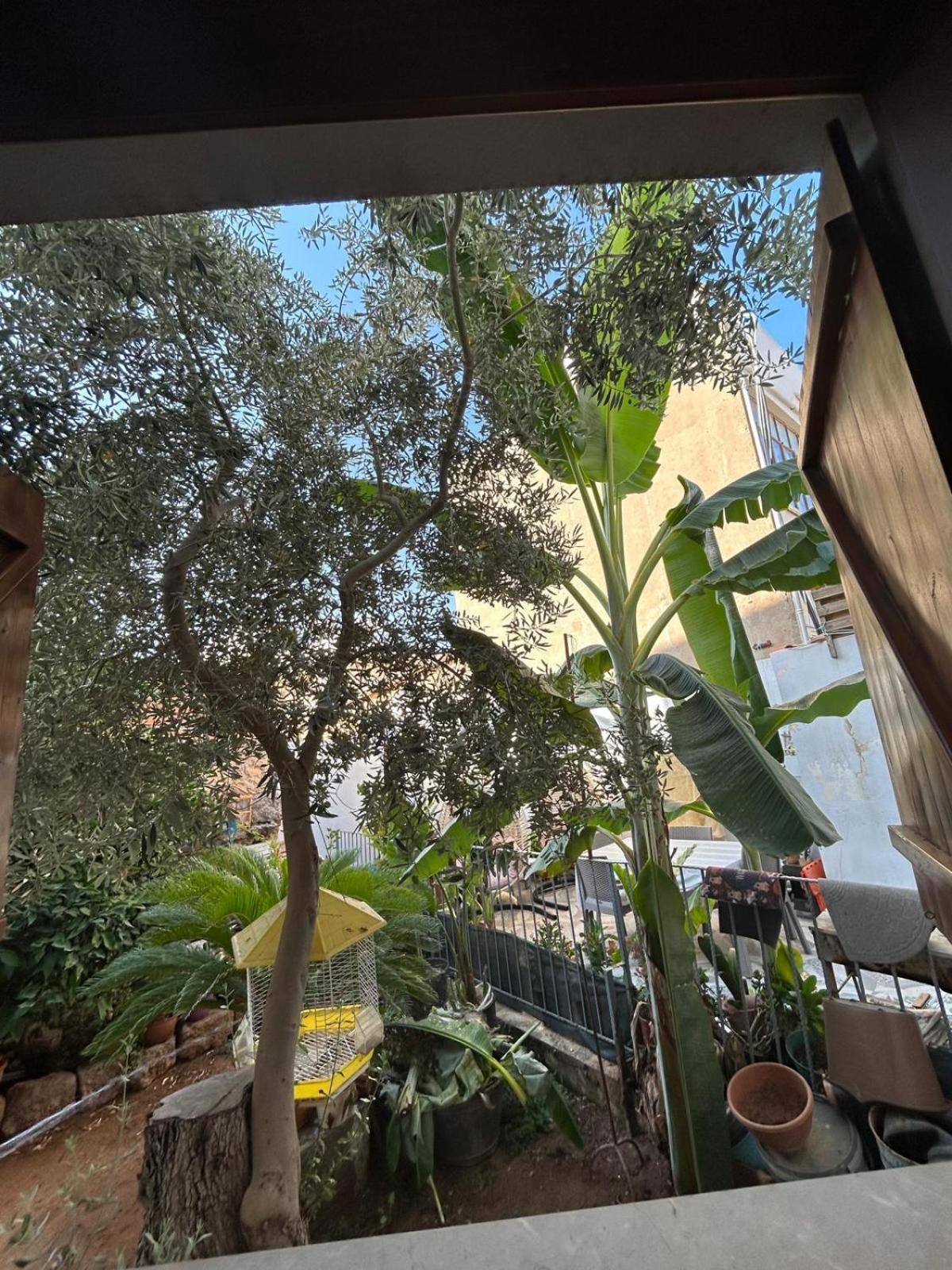 Magic Moon Guest House فاماغوستا المظهر الخارجي الصورة
